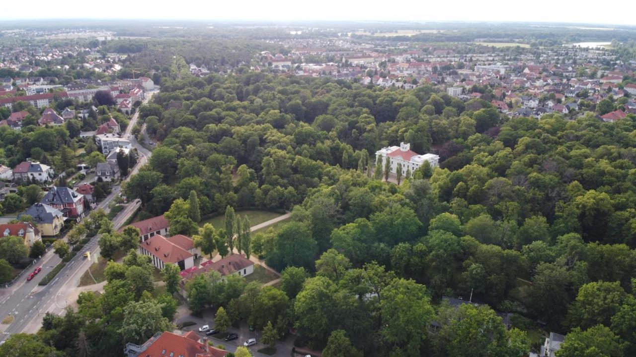Apartamento Zwischen Bauhaus Und Park Georgium Dessau-Rosslau Exterior foto